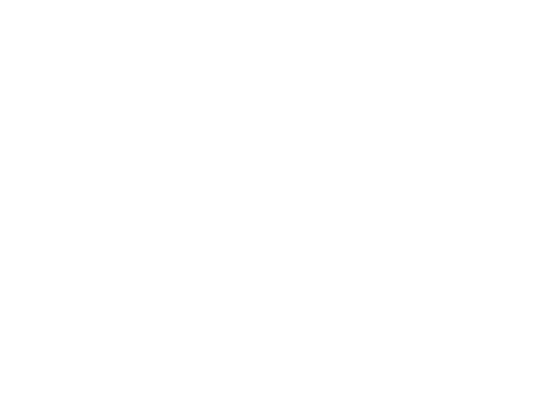 Carnival Cruise Line