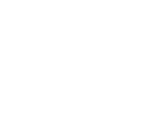 Miray Cruises